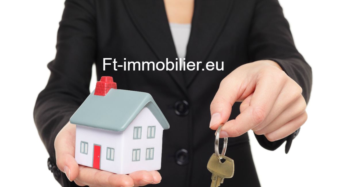 ft-immobilier.eu